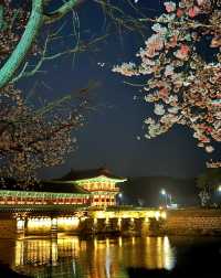 경주 야경 보기_ 월정교 !🌙
