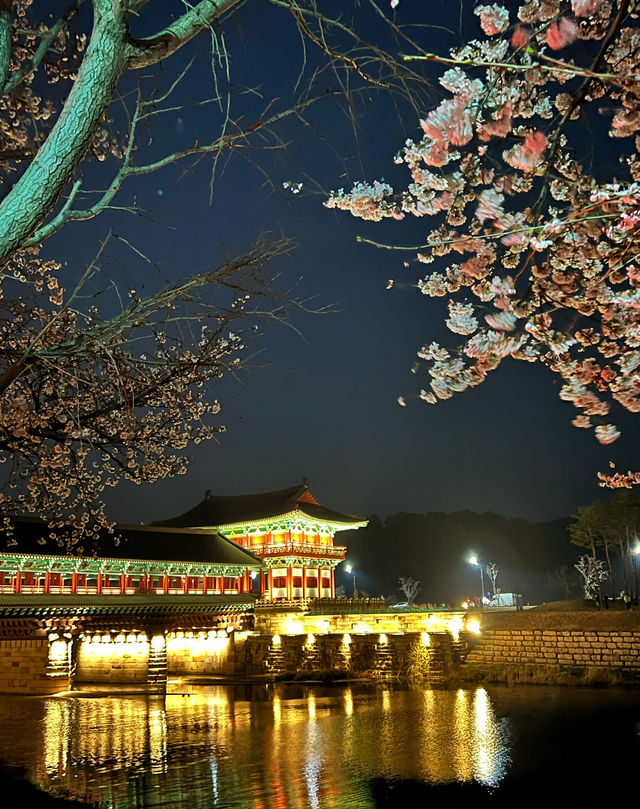 경주 야경 보기_ 월정교 !🌙