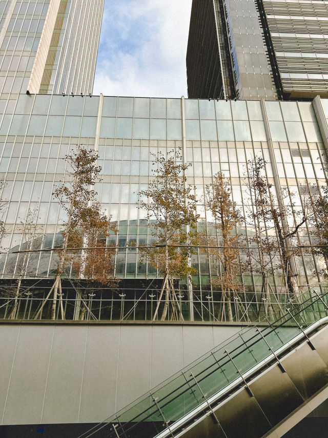 台北｜大巨蛋：現代城市的建築新地標