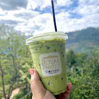 🌱ไร่ชาแปลง 2000