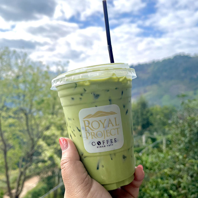 🌱ไร่ชาแปลง 2000