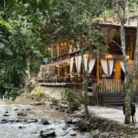Tree House Hideaway, เชียงใหม่