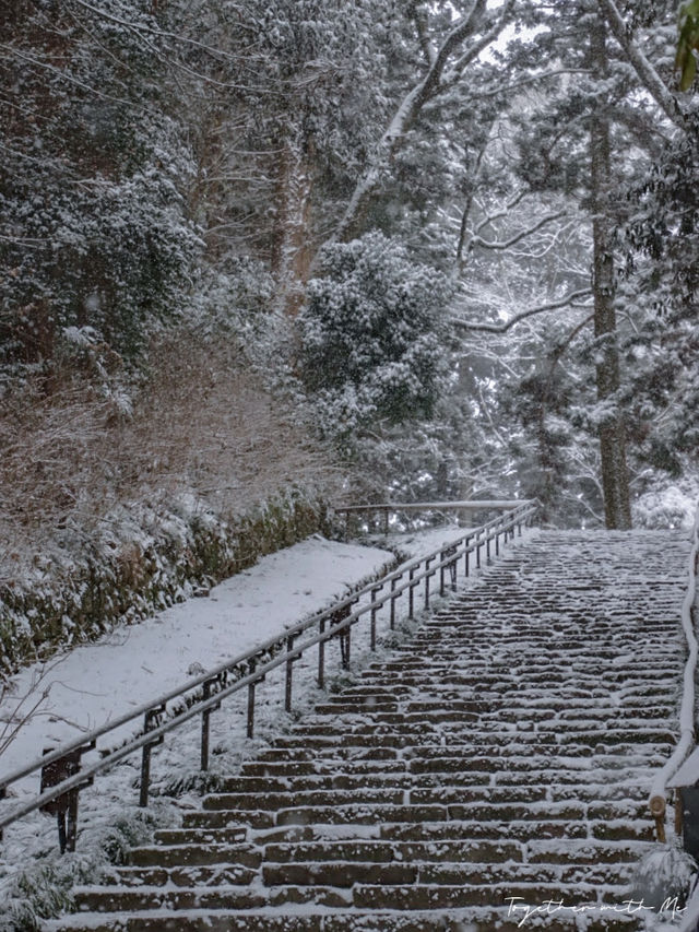 Sendai ในวันที่หิมะโปรยปราย~🌨️❄️🇯🇵