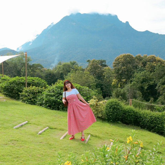 ⛰️💫 เที่ยวเชียงดาว 2 วัน 1 คืน วิวภูเขาสุดจึ้งงงง
