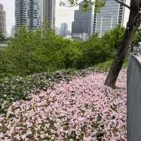 台灣類似中央公園
