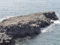 Jeju’s natural masterpiece: Jusangjeolli Cliff