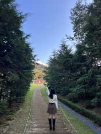 의정부 단풍 즐기기 좋은 파크프리베 카페