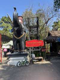 ศูนย์อนุรักษ์ช้างไทย ลำปาง