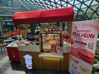 ทิวลิปบานที่ระยอง