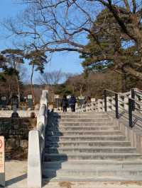 🌿 고즈넉한 사찰 데이트, 통도사