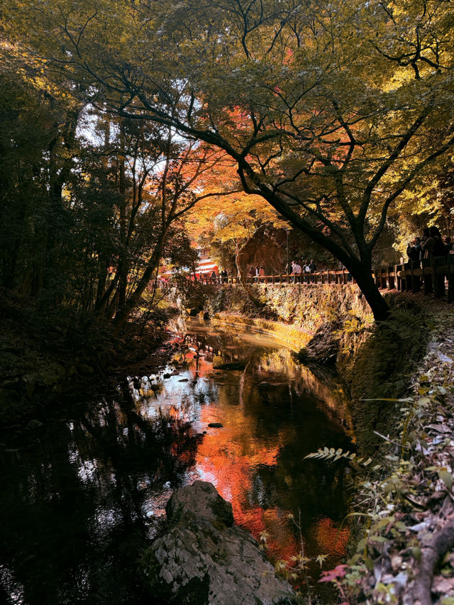 大阪｜近郊的世外桃源-箕面公園 紅葉季還能嚐炸楓葉