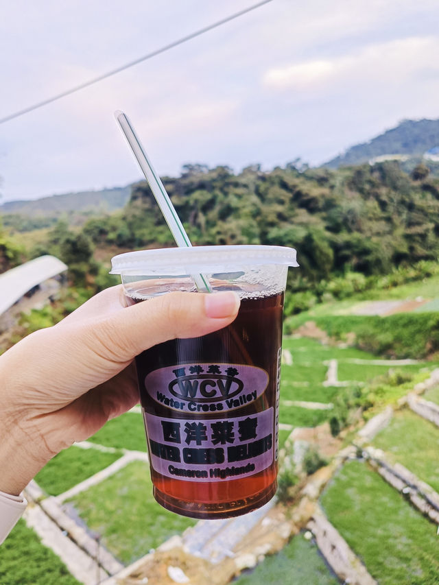 Hotpot and Highlands: A Perfect Match