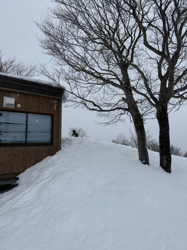 Gala Yuzawa ❄️⛄️⛷️