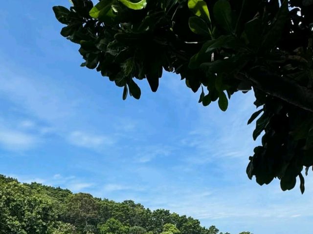 Phuket Island 🏝️