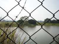 Hong Kong’s Hidden Wetlands: Our Nam Sang Wai Cycling Trip