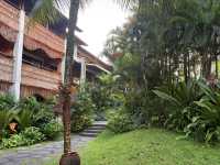 Alaya Resort Ubud——泳池小孩玩瘋了