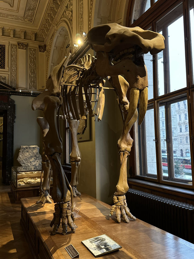 Step Back in Time: Explore the Dinosaurs of Vienna’s Natural History Museum