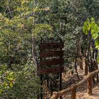 ผาช่อ อุทยานแห่งชาติแม่วาง เชียงใหม่