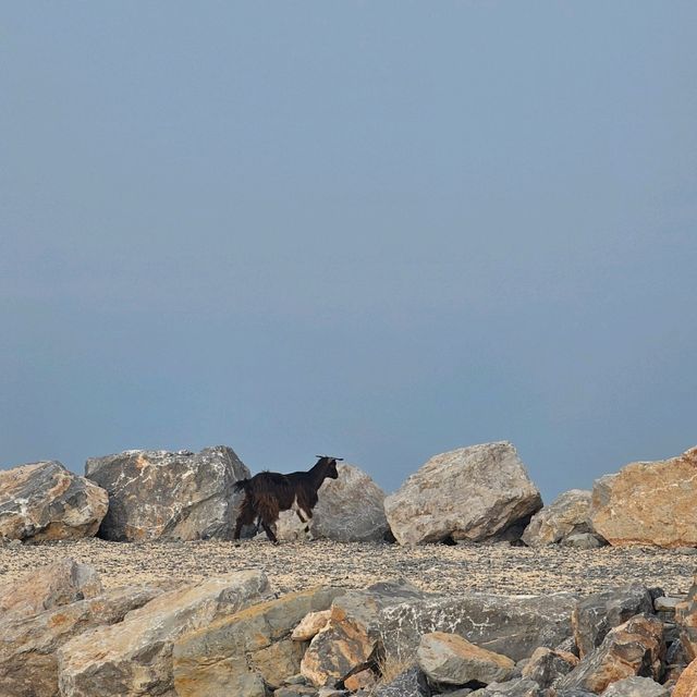 Jebel Jais, Ras Al Khaimah
