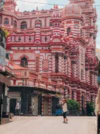 A Day on the Streets of Colombo: Color, Chaos, and Conversations