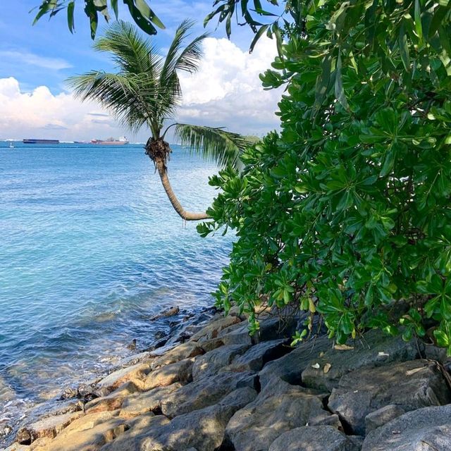 🏝️ Paradise Found: Palawan Beach, Singapore! 🌊
