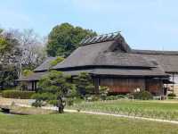 岡山必遊，日本三大名園之「後樂園」