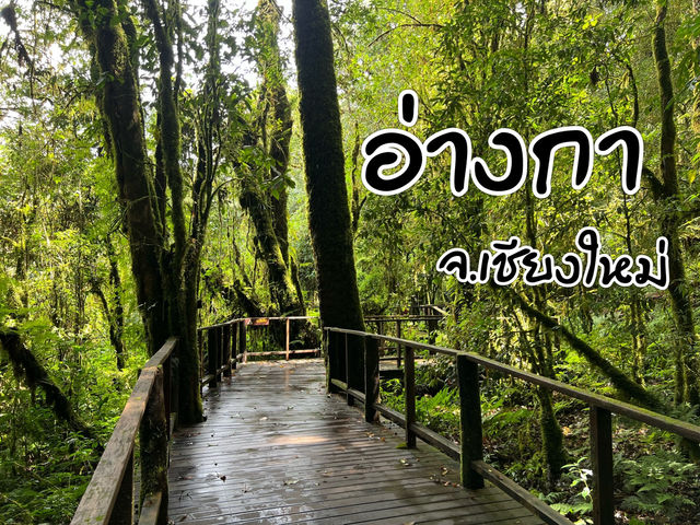 🌿 อ่างกา จ.เชียงใหม่ 🌿