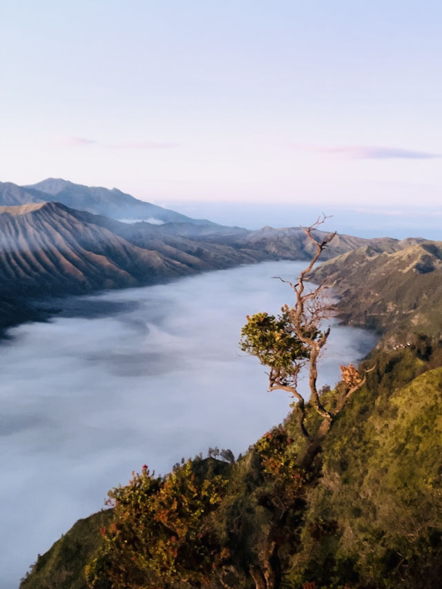 “Mount Bromo: A UNESCO Wonderland of Fire and Mist”