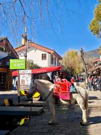 Shuhe Old Street: A Blend of Heritage and Charm