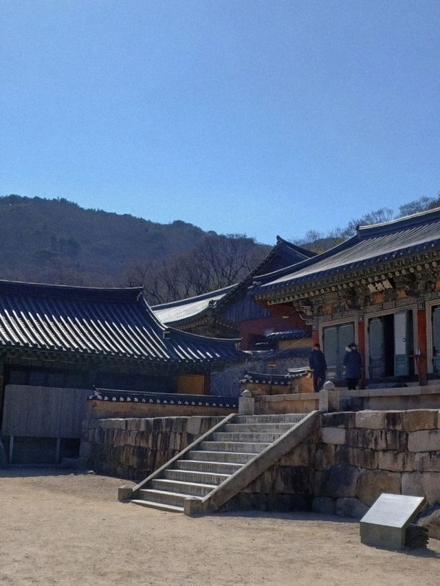 부산의 숨겨진 산속 사찰🌿🏯