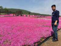 Lost in a Sea of Blossoms: Zhenjiang Shi