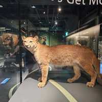 【台北】定期推出不同主題的科學特展，每次展覽都極具教育與娛樂性。