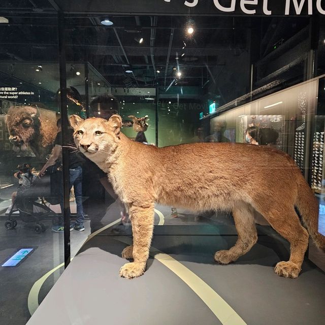 【台北】定期推出不同主題的科學特展，每次展覽都極具教育與娛樂性。