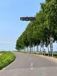 비에이투어여행지 | 여름에도 비에이 투어를 가는 이유
