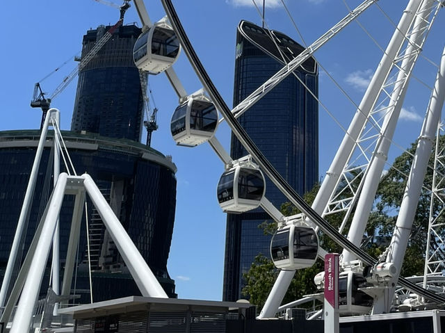  在布里斯班的高空中旋轉：The Wheel of Brisbane的壯觀之旅 🎡🌆