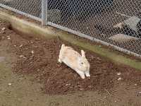 可愛い動物たちに出会える🤍【あぐりの丘】