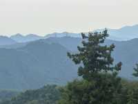 Escape to Nature: Hiking to the Summit of Mount Takao