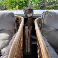 relaxed and laidback
