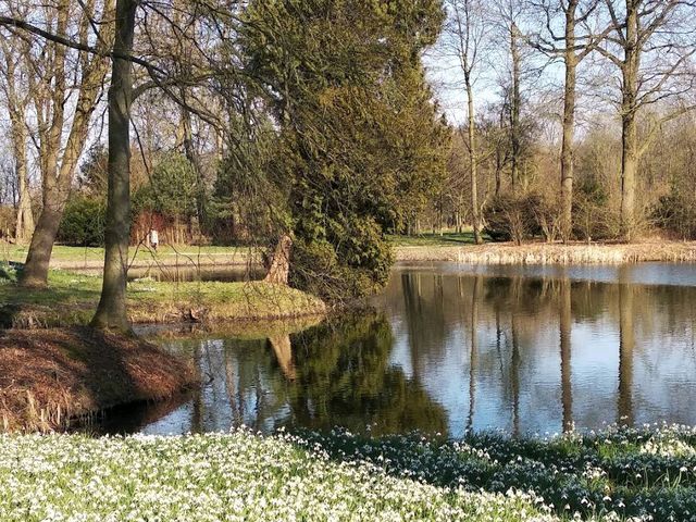 Kasteel de Haar (Castle De Haar)