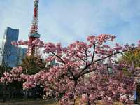 Shiba Park (芝公園)