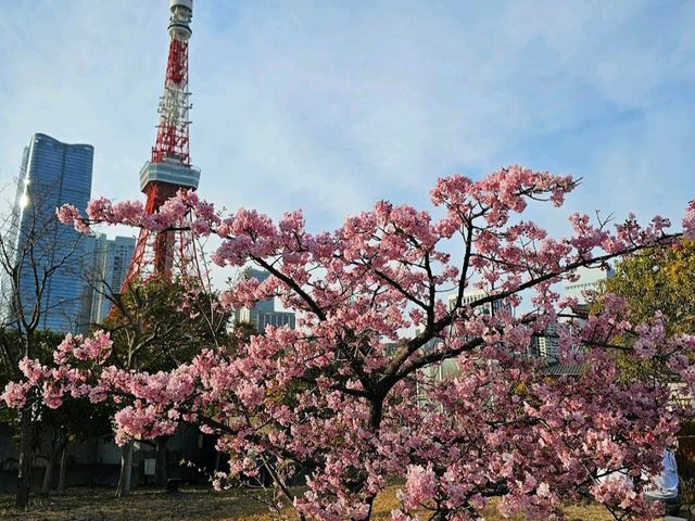 Shiba Park (芝公園)