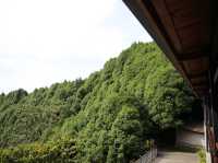 發現隱世秘境：仙境寒溪呢的夢幻之旅 🌸🏞️