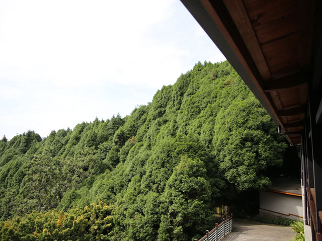 發現隱世秘境：仙境寒溪呢的夢幻之旅 🌸🏞️