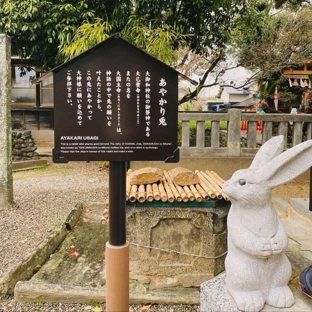 華やかなで可愛らしい花手水めぐりはいかがでしょうか？