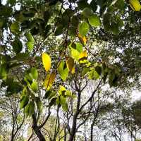 ～避開城市喧囂的隱藏地～惠安公園～