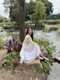 🫧🪻💐莫奈花園🌷🌺 🫧油畫一樣咁靚🖼️