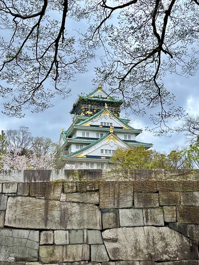 🇯🇵 大阪 | 大阪城公園的櫻吹雪 🌸