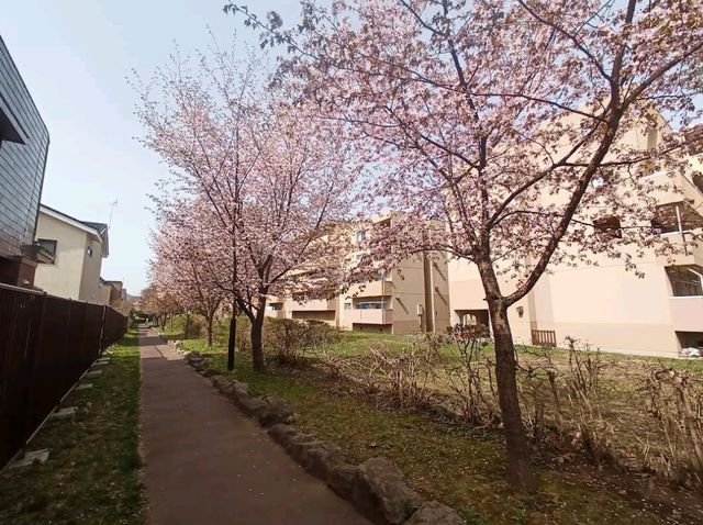 Makomanai Park