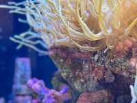【香川/宇多津】四国の美しい水景をテーマにした「四国水族館」