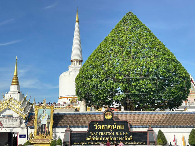 วัดธาตุน้อย พ่อท่านคล้ายวาจาสิทธิ์ วัดธาตุน้อย